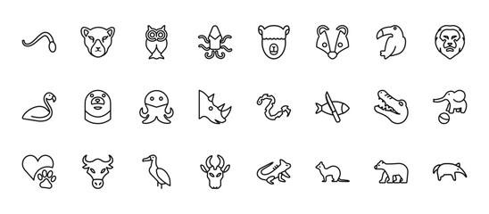 24 set of outline web animals icons such as puma, alpaca, otter, alligator, antelope vector thin icons for report, presentation, diagram, web design, mobile app