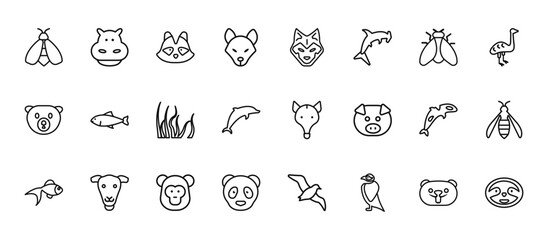 24 set of outline web animals icons such as hippopotamus, wolf, salmon, grampus, panda bear vector thin icons for report, presentation, diagram, web design, mobile app