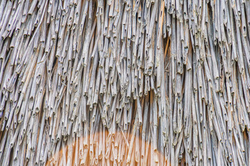 Close-up of thatched roof in ancient Central European village, dominated by earth tones green leaves, brown thatch and wood, grayish sky, with visible wooden structure beneath Light filters throug