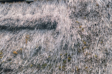 Close-up of weathered, ribbed metal roof in an ancient European village. a
