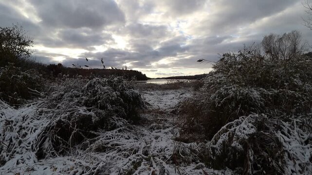 Handheld tilting down video of fresh snow covering grass next to lake water with clouds in the sky, while shot on super wide angle lens.