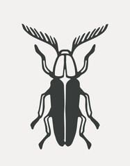 Minimalist black beetle with antler-like antennae shown in a symmetrical flat graphic style on a light background. Concept of nature, insects, entomology. Vector illustration