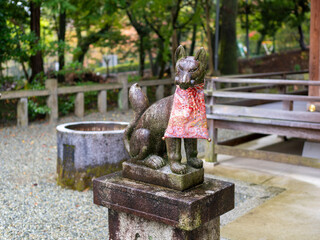 雨に濡れた稲荷神社の狛狐