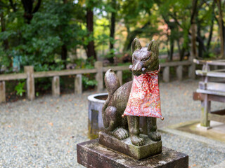 雨に濡れた稲荷神社の狛狐