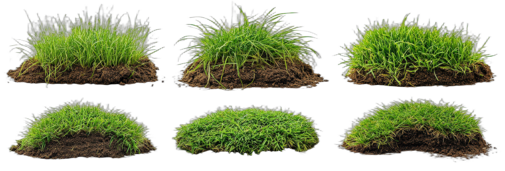 Various green grass patches with soil showing different shapes