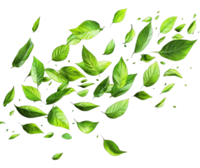 Vibrant Green Leaves Falling in a Fresh and Lively Motion