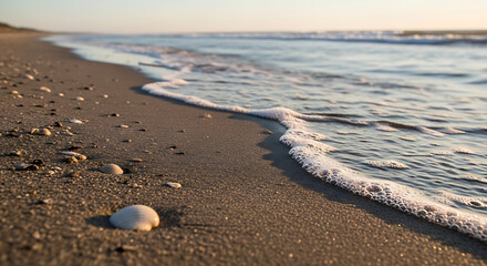 A serene beach scene featuring gentle waves washing ashore and scattered seashells on the sand near water