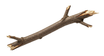 Rough dry tree branch with splintered wood on a transparent background, PNG image, PNG file