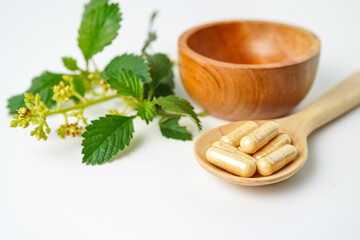 Medicine herbal organic capsule vitamin E omega 3 fish oil drug herbs leaf natural supplements