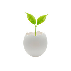 Green Sprout Emerging from Cracked Egg