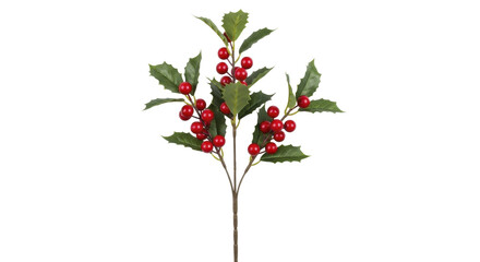 Fototapeta premium Red berry green holly sprig with vibrant leaves on a transparent background, PNG image, PNG file.
