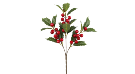 Red berry green holly sprig with vibrant leaves on a transparent background, PNG image, PNG file.