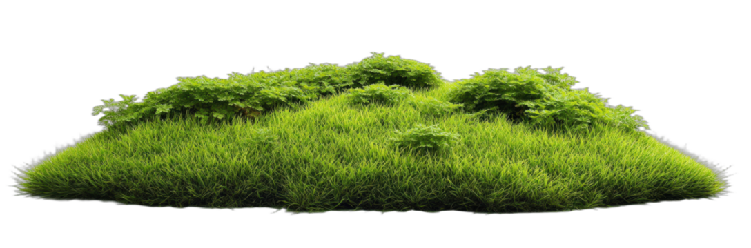 Lush green grass mound with small plants for natural scenery depiction