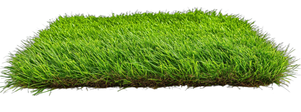 Green lush grass field with dense vegetation - Powered by Adobe