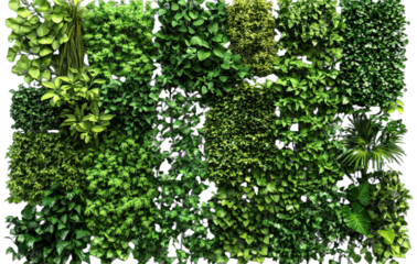 Diverse collection of various green plants for vertical garden decoration