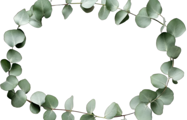 Eucalyptus leaves forming a circular frame for nature inspired design
