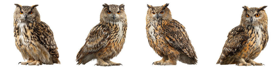 Naklejka premium Majestic Eurasian Eagle Owls in a Row, Four Birds with Intense Gaze, Wildlife Art, Nature Illustration, Striking Avian Creatures, Detailed Plumage, Beautiful Owl Portrait