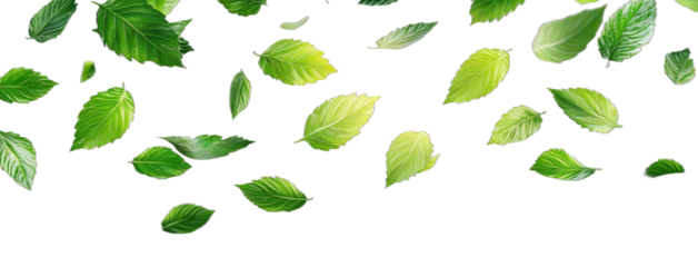 Falling green leaves creating a fresh and natural scene