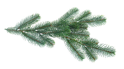 Branch of artificial fir tree isolated on white. Christmas decor