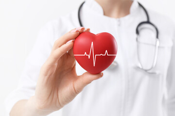 Cardiology, healthcare service. Doctor holding red heart with pulse line in hand on white background