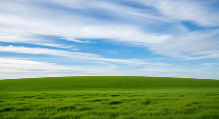 Obraz premium Vast rolling green meadow under a bright blue sky with wispy white clouds creating a serene and expansive natural landscape.