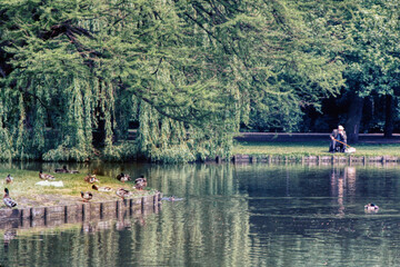 Oosterpark Amsterdam on a Quiet Sunday Morning
