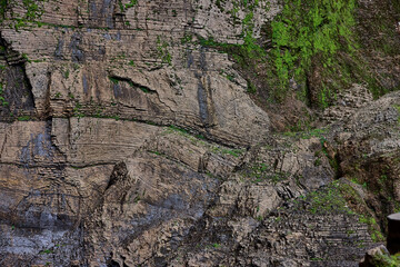 The cliff face of Gocta reveals itself like a massive natural mural: streaks of minerals, deep vertical fractures, and soft patches of moss clinging to impossible angles