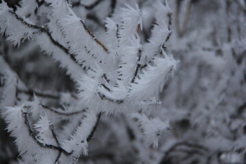 A frosty morning drive to an abandoned farm. 