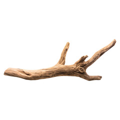 Naklejka premium Dry tree branch with rough natural texture concept. A detailed view of a rustic wooden branch on a white background.