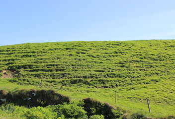Remains of terrace farming on a hill in County Clare, Ireland on a sunny day