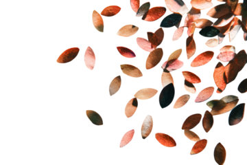 Scattered brown and pink confetti isolated on transparent background in the corner