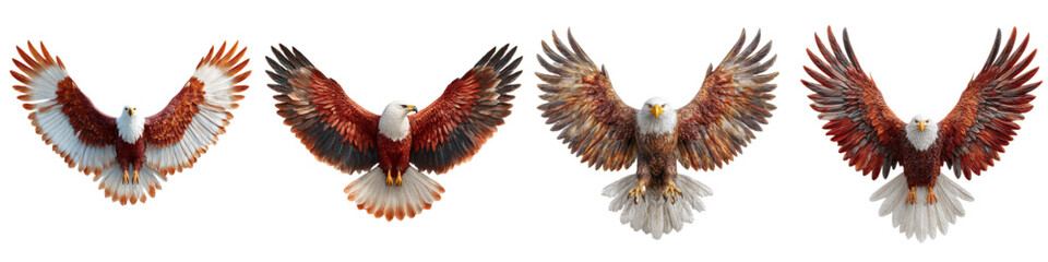 Majestic eagles soaring with open wings, a symbol of freedom, power, and American spirit, perfect for patriotic designs, wildlife projects, and inspirational themes