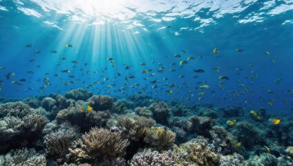 Fototapeta premium Vivid underwater scene with sunlight beams illuminating coral reef and numerous colorful fish