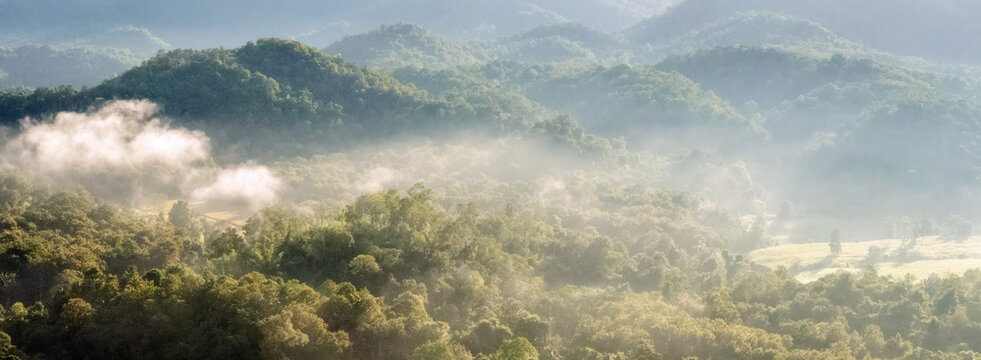 Banner Beautiful Mountain landscape foggy mountain green landscape morning sunrise. Amazing Landscape mountain green tropical forest tree on sunrise. Banner forest sunlight scenery with copy space - Powered by Adobe