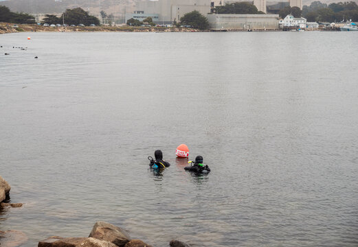 scuba divers in morro bay california