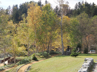 然別湖の湖岸の黄葉
