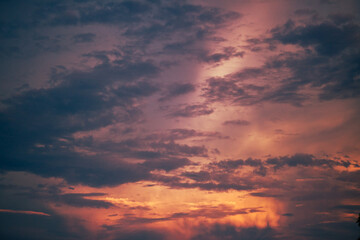 natural background of many species of plants that are laid out in the park, for the propagation of the species and to provide shade for those who stop by while traveling to study the ecology.