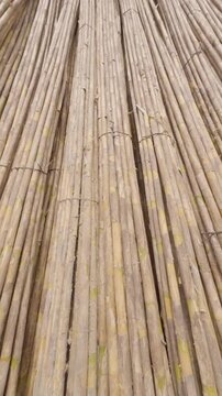 Many giant reed or "Arundo donax" dried sticks piled together as the camera moves towards them and tilts up in a vertical video aspect ratio