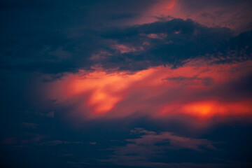 natural background of many species of plants that are laid out in the park, for the propagation of the species and to provide shade for those who stop by while traveling to study the ecology.