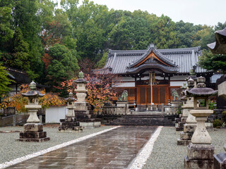 雨に濡れた神社の参道