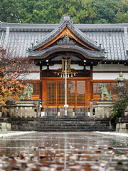 雨に濡れた神社の参道