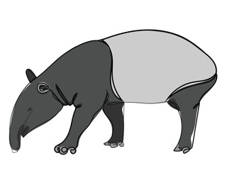 Tapir in a continuous line drawing style.