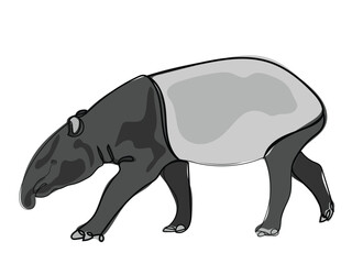 Tapir in a continuous line drawing style.