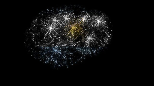 Argentina Flag Fireworks Animation — Argentine National Day Celebration Fireworks Overlay — Tricolor Flag Pyrotechnics Effect — Patriotic Argentina Fireworks on Black Background