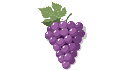 A detailed illustration of a bunch of ripe purple grapes with a single green leaf on a white background.