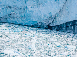 Majestic Perito Moreno Glacier with snow-capped mountains in Patagonia, Argentina. Vivid blue tones of the ice contrast with the dark slopes, highlighting the raw beauty of nature.