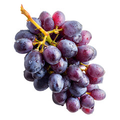 Fresh bunch of dark grapes with water drops  on white background.