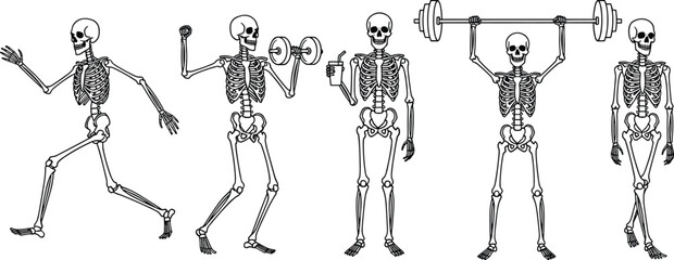 Cartoon skeleton workout illustration, fitness poses, running, weightlifting, dumbbell curl, flexing arms, black vector, humorous anatomy, exercise concept, gym theme