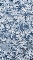 Intricate frosty patterns of delicate ice crystals forming on a cold winter surface