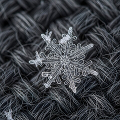 Detailed Snowflake Close-up Delicate Ice Crystal on a Textured Dark Background